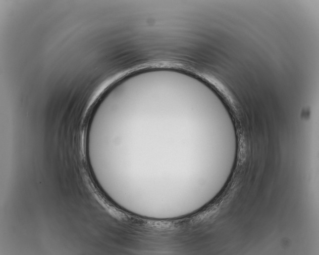 X0000090880886200707271014
