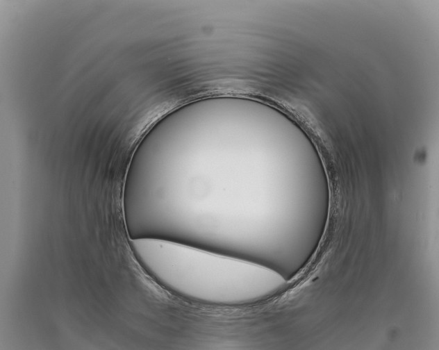 X0000090880889200707271014