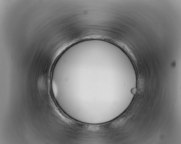 X0000090880890200707271014
