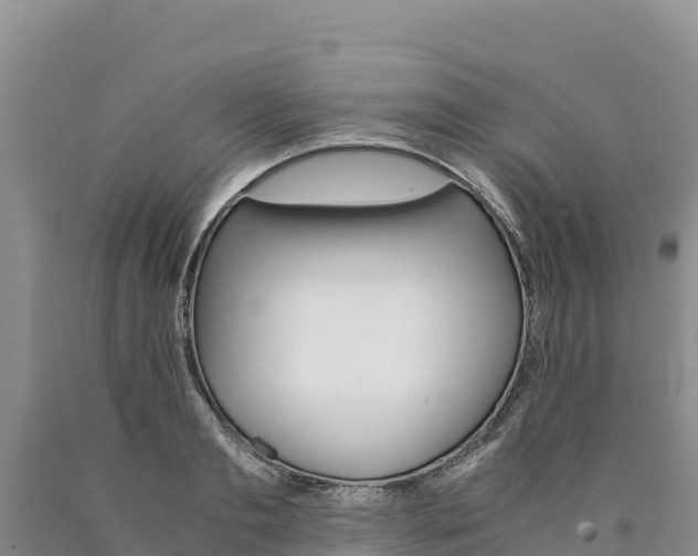 X0000090880893200707271014