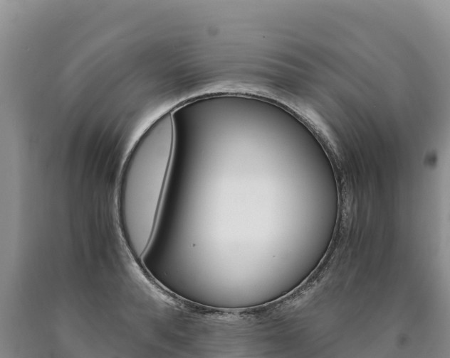 X0000090880896200707271014