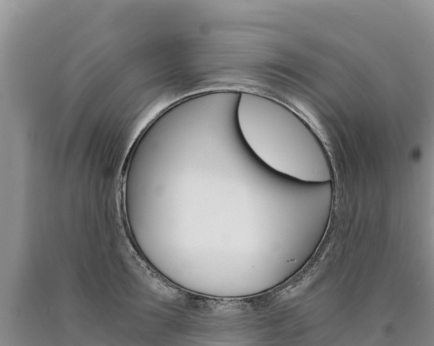 X0000090880899200707271013