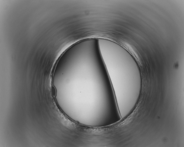 X0000090880900200707271013