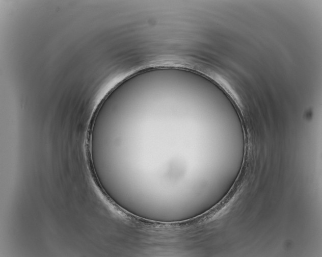 X0000090880901200707271013