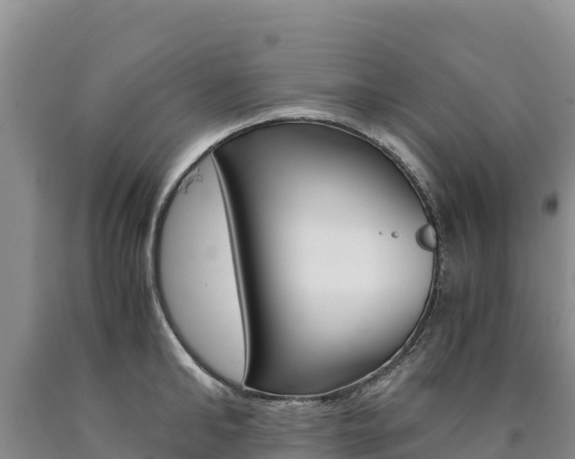 X0000090880902200707271013