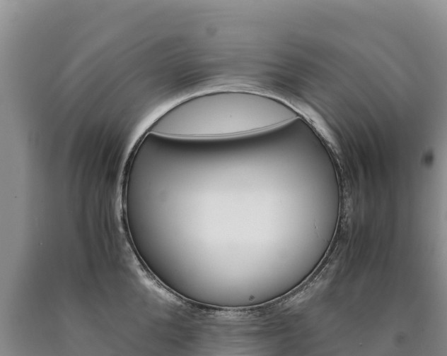 X0000090880904200707271013