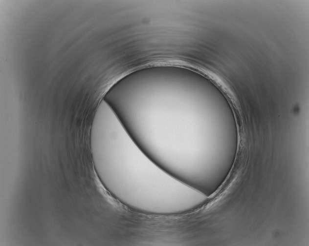 X0000090880905200707271013
