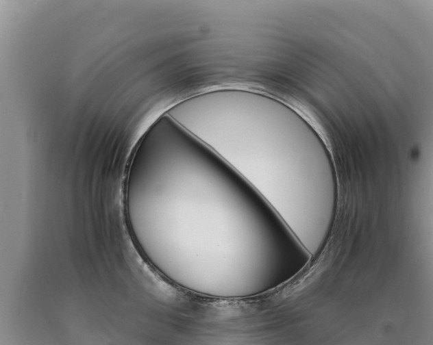 X0000090880906200707271013
