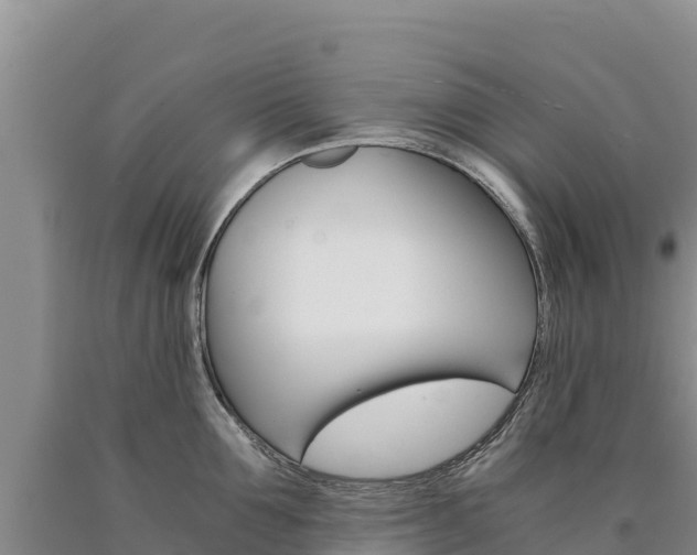 X0000090880907200707271013