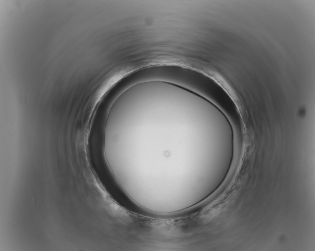 X0000090880909200707271013
