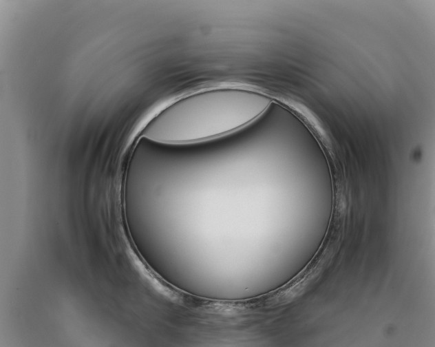 X0000090880910200707271013