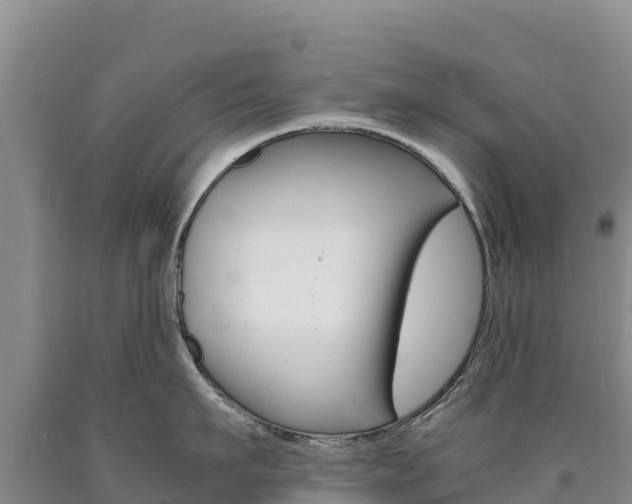 X0000090880911200707271013