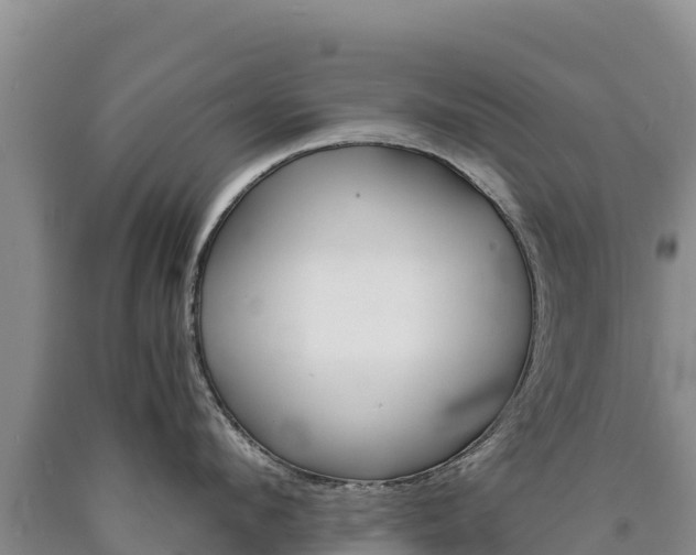 X0000090880912200707271013