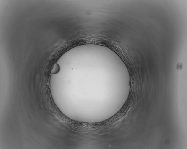 X0000090880913200707271013