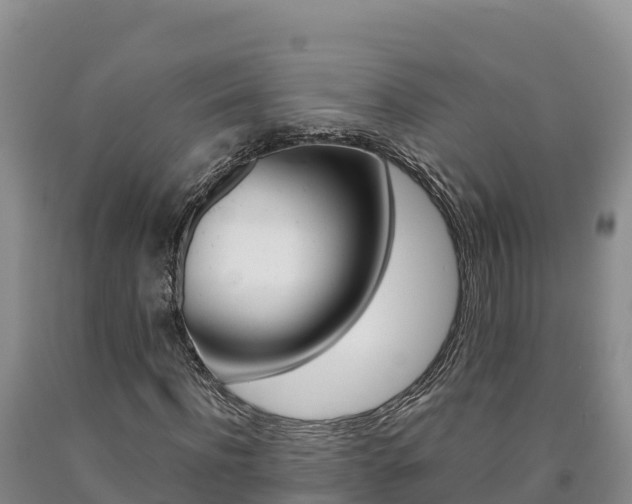 X0000090880916200707271013
