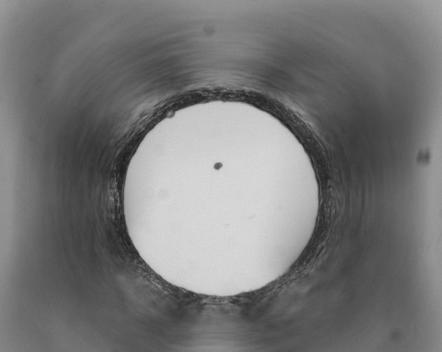 X0000090880918200707271013