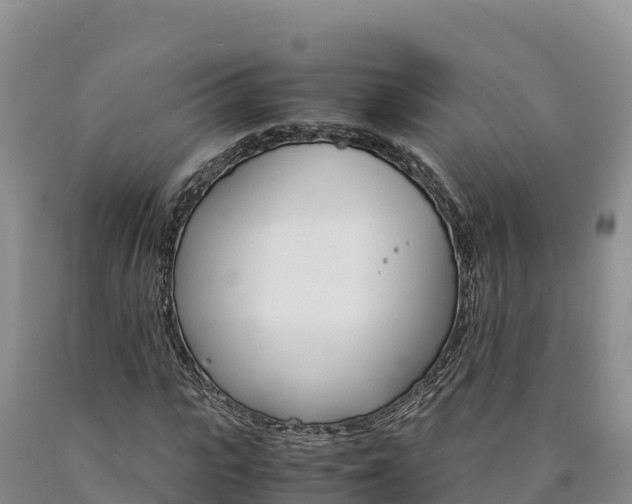 X0000090880919200707271013