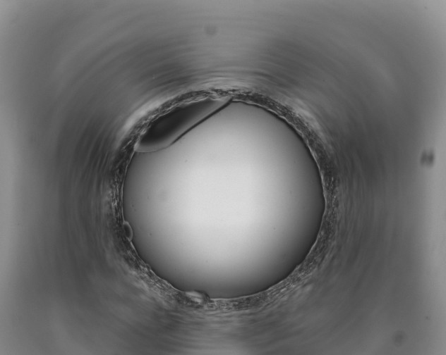 X0000090880920200707271013