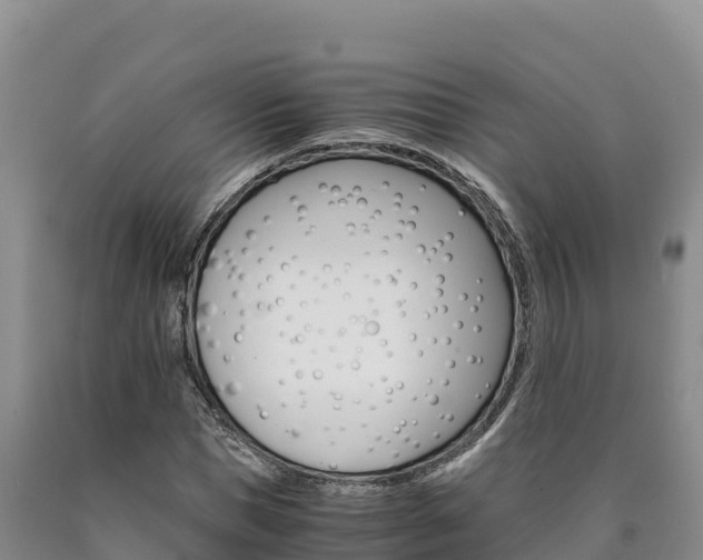 X0000090880921200707271013