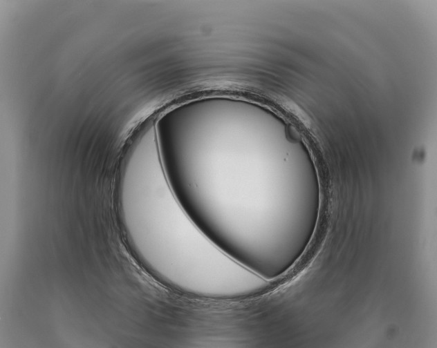 X0000090880922200707271013