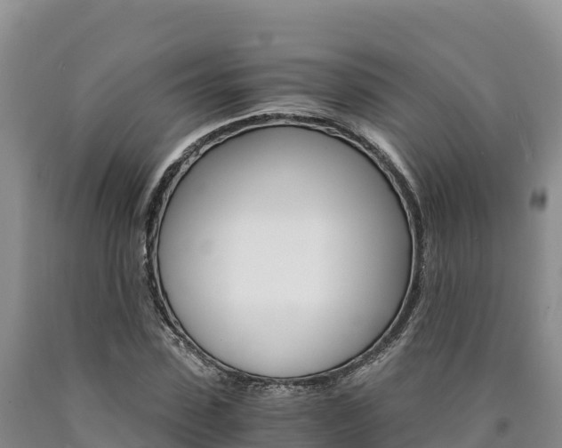 X0000090880923200707271013