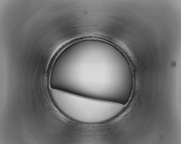 X0000090880924200707271013