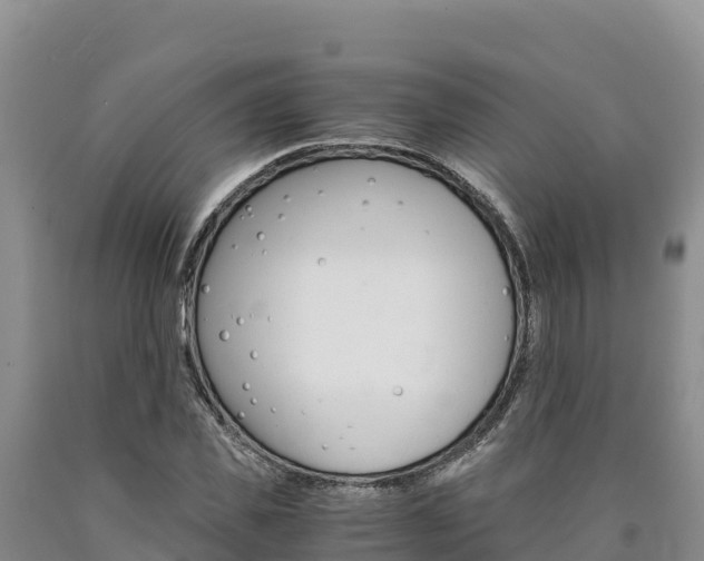 X0000090880925200707271013