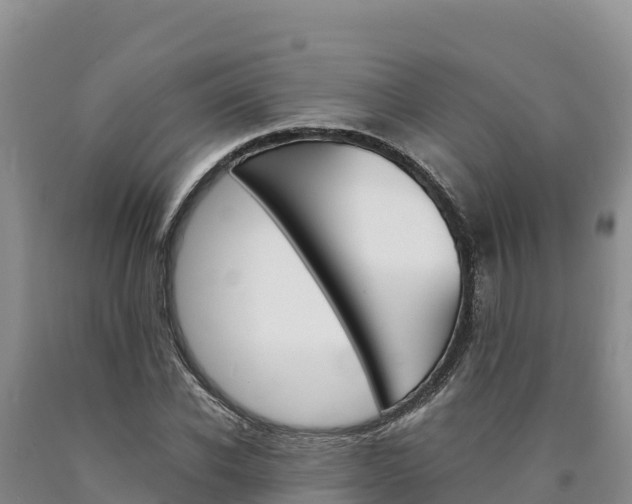 X0000090880926200707271013