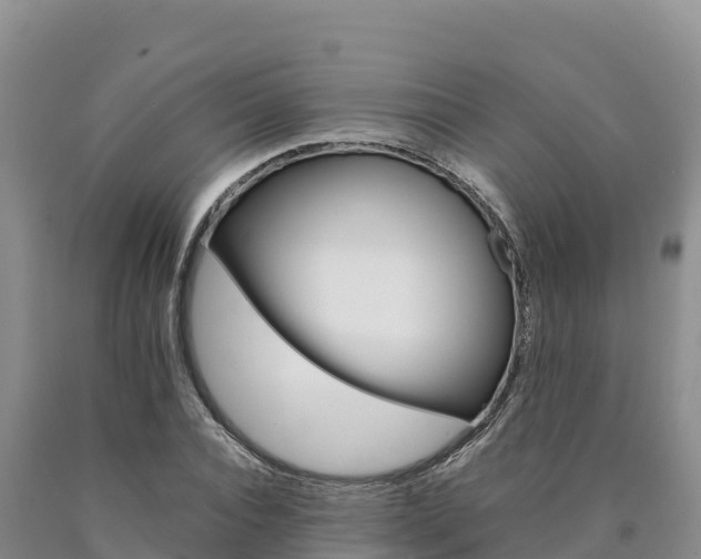 X0000090880928200707271013