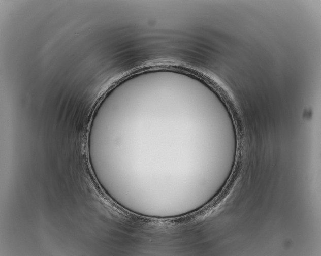 X0000090880929200707271013