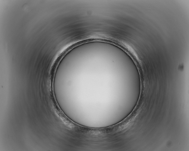 X0000090880931200707271013