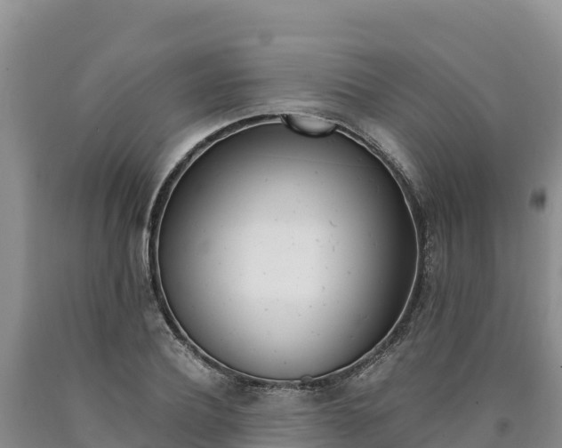 X0000090880932200707271013