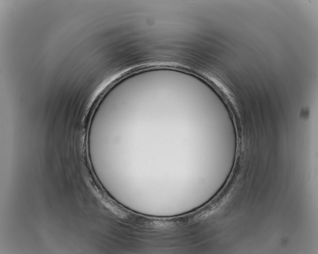 X0000090880933200707271013