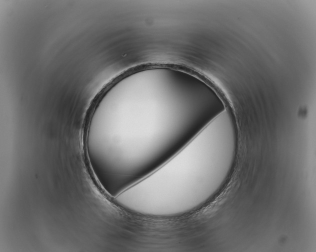 X0000090880935200707271013