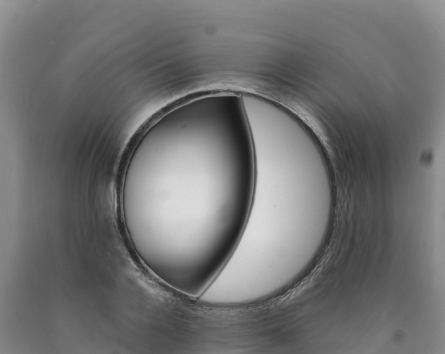X0000090880936200707271013