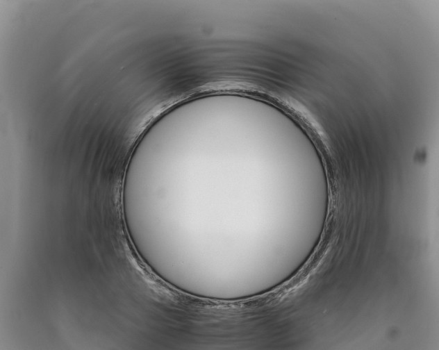 X0000090880937200707271013