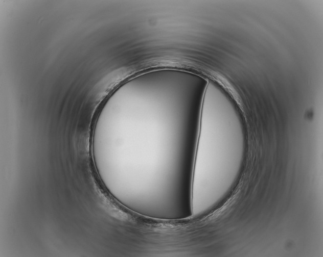 X0000090880938200707271013