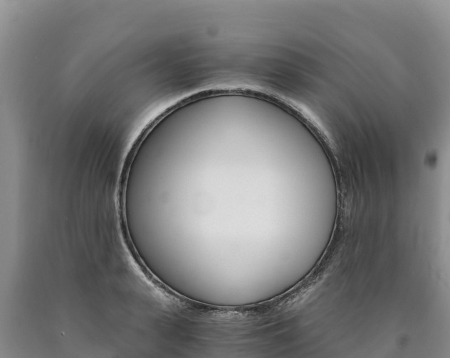 X0000090880943200707271013