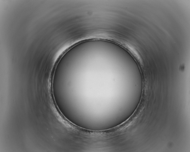 X0000090880944200707271013