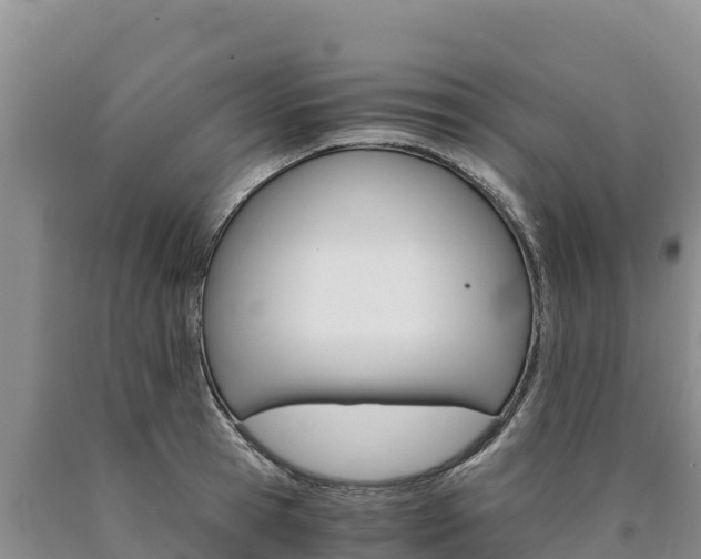 X0000090880945200707271013