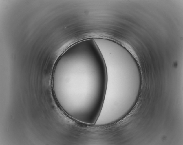 X0000090880946200707271013