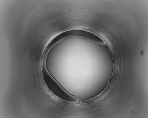 X0000090880948200707271013