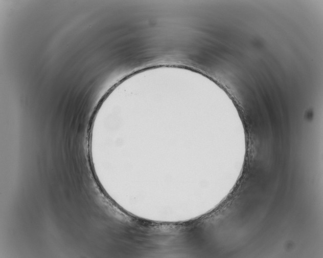 X0000090880950200707271013