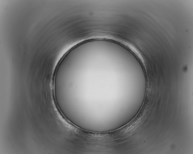X0000090880951200707271013