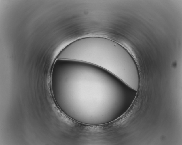X0000090880952200707271013