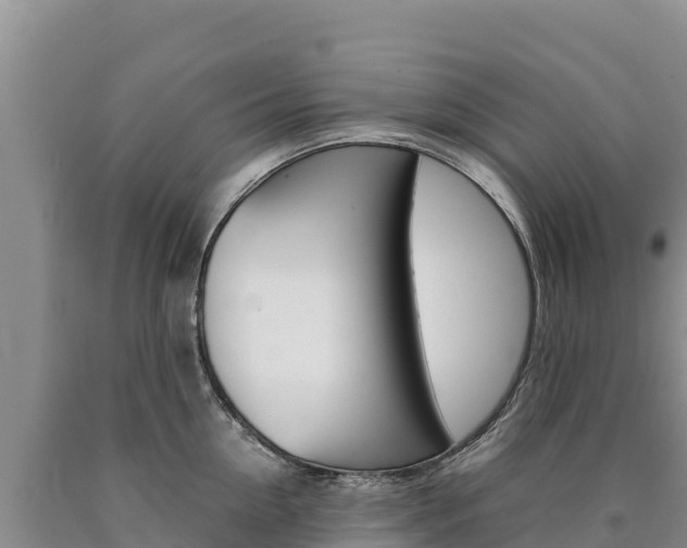 X0000090880954200707271013