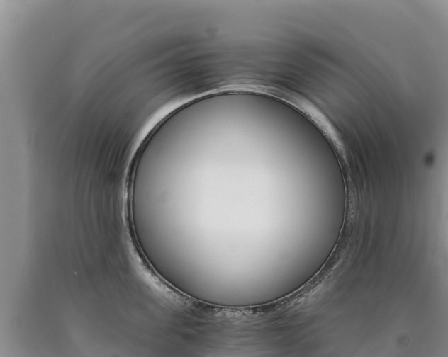 X0000090880955200707271013