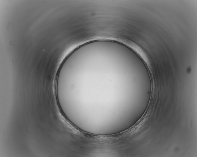 X0000090880958200707271013
