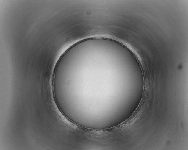 X0000090880959200707271013