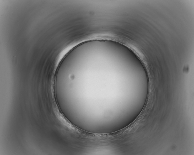 X0000090880960200707271013
